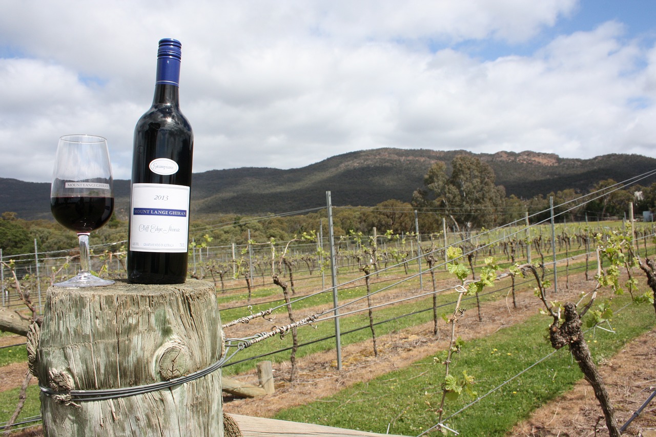 wine-country-vacation